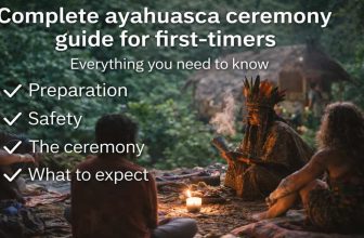 Complete ayahuasca ceremony guide for first-timers - everything you need to know about preparation, safety, and what to expect