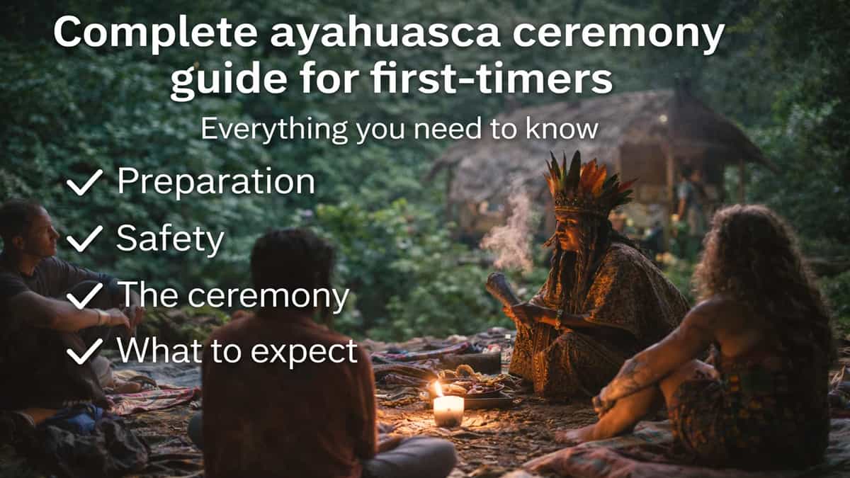 Complete ayahuasca ceremony guide for first-timers - everything you need to know about preparation, safety, and what to expect